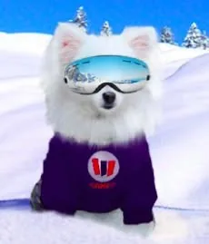 Marshmello 2026 05