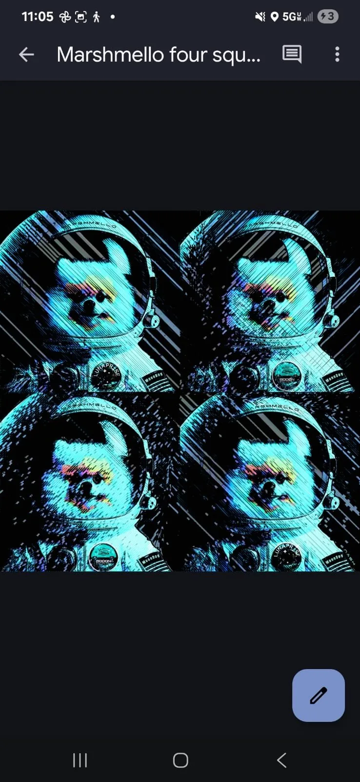 Marshmello 2026 17