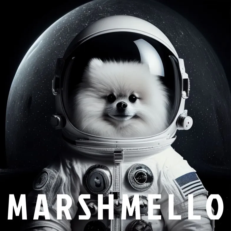 Marshmello